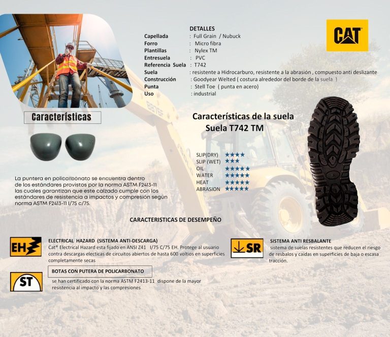botas y botines 1 ficha tecnica