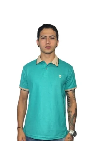 Expertos en Camisetas Tipo POLO 141 Camiseta Polo verde esmeralda para Hombre j4