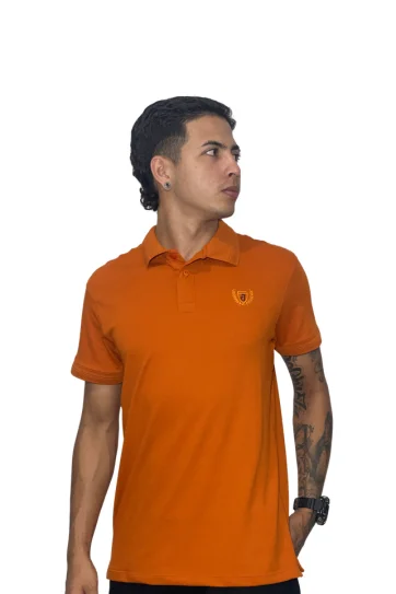 Expertos en Camisetas Tipo POLO 19 Camiseta Polo terracota para Hombre j1