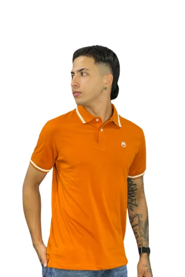 Expertos en Camisetas Tipo POLO 16 Camiseta Polo terracota para Hombre j2